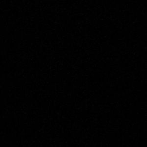 Meet your Posher, Frankie